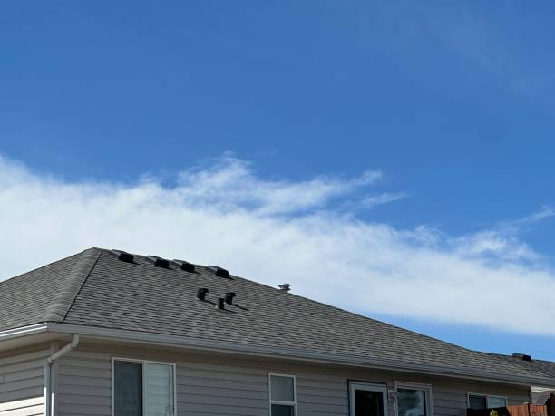 Best Commercial Roofing Services  in Murrysville, PA